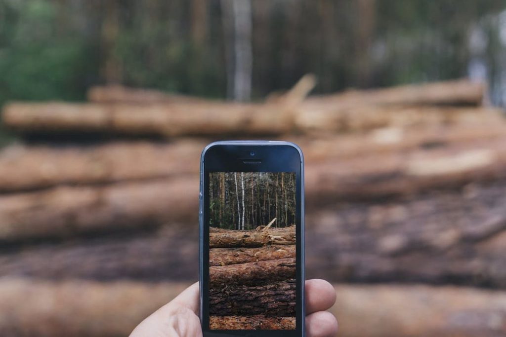 Las mejores apps de fondo de pantalla con movimiento para tu celular